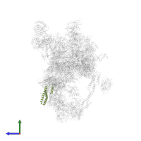 Mediator of RNA polymerase II transcription subunit 11 in PDB entry 8cen, assembly 1, side view.