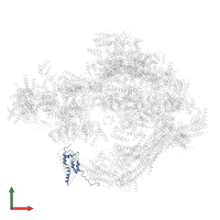 Mediator of RNA polymerase II transcription subunit 19 in PDB entry 8cen, assembly 1, front view.