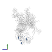 Mediator of RNA polymerase II transcription subunit 19 in PDB entry 8cen, assembly 1, side view.