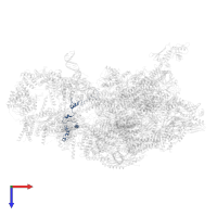 Mediator of RNA polymerase II transcription subunit 19 in PDB entry 8cen, assembly 1, top view.