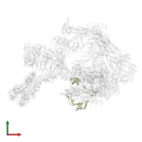 Transcription initiation factor IIF subunit beta in PDB entry 8ceo, assembly 1, front view.