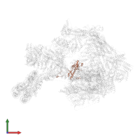 Transcription initiation factor IIE subunit beta in PDB entry 8ceo, assembly 1, front view.