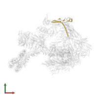 Mediator of RNA polymerase II transcription subunit 7 in PDB entry 8ceo, assembly 1, front view.