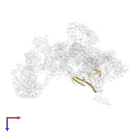Mediator of RNA polymerase II transcription subunit 7 in PDB entry 8ceo, assembly 1, top view.