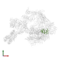 Mediator of RNA polymerase II transcription subunit 1 in PDB entry 8ceo, assembly 1, front view.