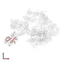 Histone H2B 1.1 in PDB entry 8ceo, assembly 1, front view.