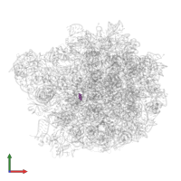Modified residue OMC in PDB entry 8ceu, assembly 1, front view.