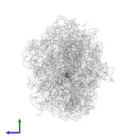 Modified residue OMC in PDB entry 8ceu, assembly 1, side view.