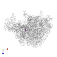 Modified residue OMC in PDB entry 8ceu, assembly 1, top view.
