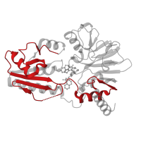 The deposited structure of PDB entry 8cg9 contains 1 copy of Pfam domain PF07522 (DNA repair metallo-beta-lactamase) in DNA cross-link repair 1A protein. Showing 1 copy in chain A.