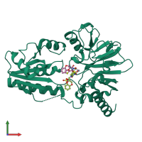 PDB entry 8cg9 coloured by chain, front view.