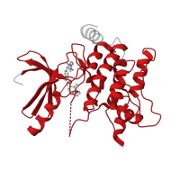 The deposited structure of PDB entry 8cij contains 1 copy of Pfam domain PF00069 (Protein kinase domain) in Mitogen-activated protein kinase kinase kinase kinase 1. Showing 1 copy in chain A.