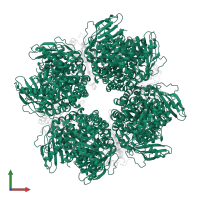 Ribulose bisphosphate carboxylase large chain in PDB entry 8cmy, assembly 1, front view.
