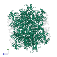 Ribulose bisphosphate carboxylase large chain in PDB entry 8cmy, assembly 1, side view.