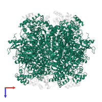 Ribulose bisphosphate carboxylase large chain in PDB entry 8cmy, assembly 1, top view.