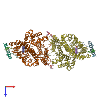 PDB entry 8crr coloured by chain, top view.