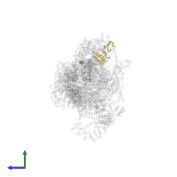 Small ribosomal subunit protein uS15m in PDB entry 8css, assembly 1, side view.