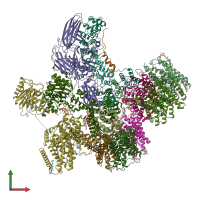 PDB entry 8cte coloured by chain, front view.