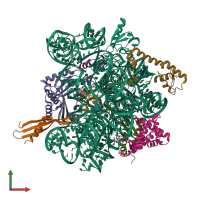 PDB entry 8cvo coloured by chain, front view.