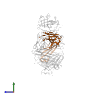 Light chain of Fab arm of antibody 10G4 in PDB entry 8cwk, assembly 1, side view.