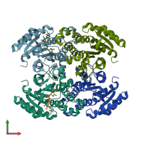 PDB entry 8cxa coloured by chain, front view.