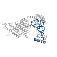 The deposited structure of PDB entry 8cxs contains 3 copies of Pfam domain PF12950 (TaqI-like C-terminal specificity domain) in site-specific DNA-methyltransferase (adenine-specific). Showing 1 copy in chain B.