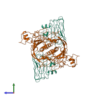 Hetero tetrameric assembly 1 of PDB entry 8d1b coloured by chemically distinct molecules, side view.