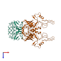 Hetero tetrameric assembly 1 of PDB entry 8d1b coloured by chemically distinct molecules, top view.