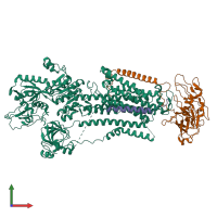 PDB entry 8d3v coloured by chain, front view.