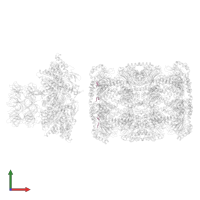 Proteasome-associated ATPase in PDB entry 8d6x, assembly 1, front view.