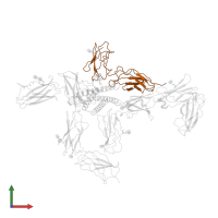 Ciliary neurotrophic factor receptor subunit alpha in PDB entry 8d7r, assembly 1, front view.