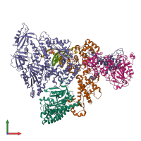 Hetero hexameric assembly 1 of PDB entry 8d9d coloured by chemically distinct molecules, front view.