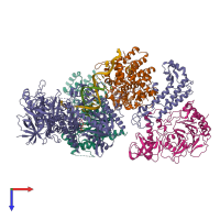 Hetero hexameric assembly 1 of PDB entry 8d9d coloured by chemically distinct molecules, top view.