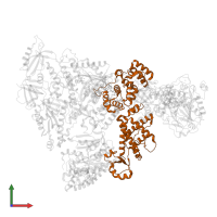 DNA primase large subunit in PDB entry 8d9d, assembly 1, front view.