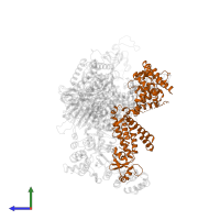 DNA primase large subunit in PDB entry 8d9d, assembly 1, side view.