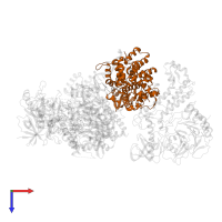 DNA primase large subunit in PDB entry 8d9d, assembly 1, top view.