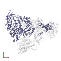 DNA polymerase alpha catalytic subunit in PDB entry 8d9d, assembly 1, front view.