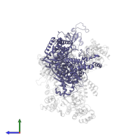 DNA polymerase alpha catalytic subunit in PDB entry 8d9d, assembly 1, side view.