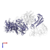 DNA polymerase alpha catalytic subunit in PDB entry 8d9d, assembly 1, top view.