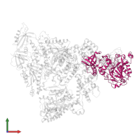 DNA polymerase alpha subunit B in PDB entry 8d9d, assembly 1, front view.
