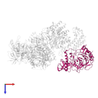 DNA polymerase alpha subunit B in PDB entry 8d9d, assembly 1, top view.