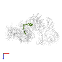 DNA/RNA (5'-D(*(GTP))-R(P*GP*CP*GP*GP*CP*AP*CP*G)-D(P*AP*CP*C)-3') in PDB entry 8d9d, assembly 1, top view.
