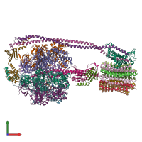 PDB entry 8dbq coloured by chain, front view.