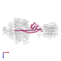 ATP synthase gamma chain in PDB entry 8dbq, assembly 1, top view.