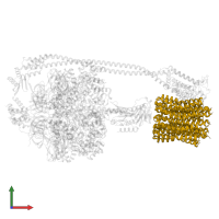 ATP synthase subunit c in PDB entry 8dbq, assembly 1, front view.