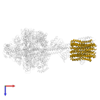 ATP synthase subunit c in PDB entry 8dbq, assembly 1, top view.