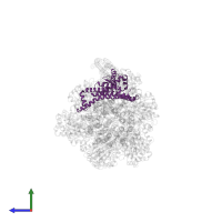 ATP synthase subunit a in PDB entry 8dbt, assembly 1, side view.