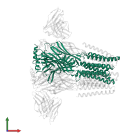 Gamma-aminobutyric acid receptor subunit beta-2 in PDB entry 8dd2, assembly 1, front view.