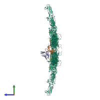 Hetero octameric assembly 1 of PDB entry 8deq coloured by chemically distinct molecules, side view.