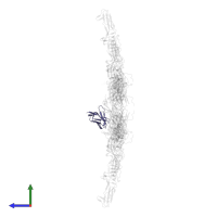 SKV09 Fab Light Chain in PDB entry 8deq, assembly 1, side view.